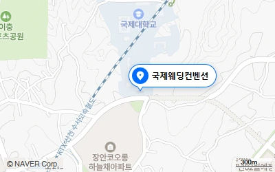 국제대학교 남쪽 국제웨딩컨벤션 위치가 표시된 네이버 지도 미리보기